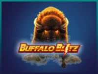 Buffalo Blitz